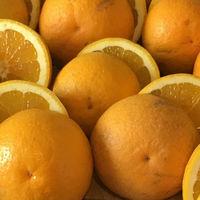 Divorce Mediation - The Orange: A Parable About Interest-Based Negotiation 